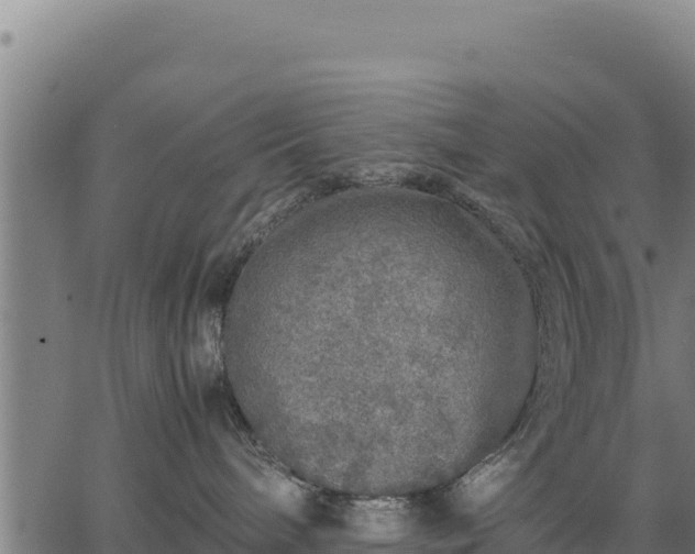 X0000067000240200603311622