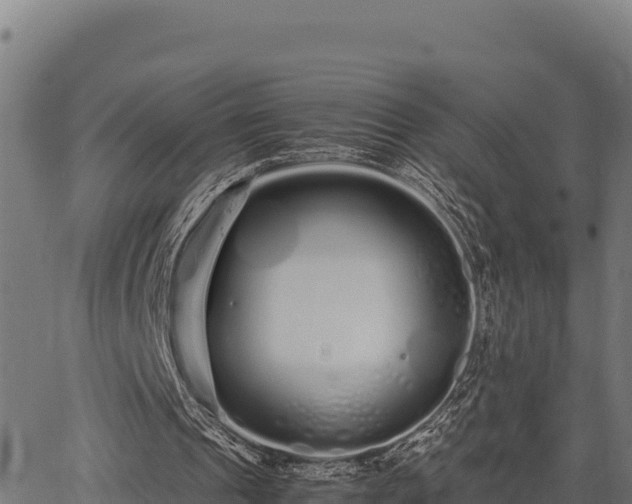 X0000067000241200603311621