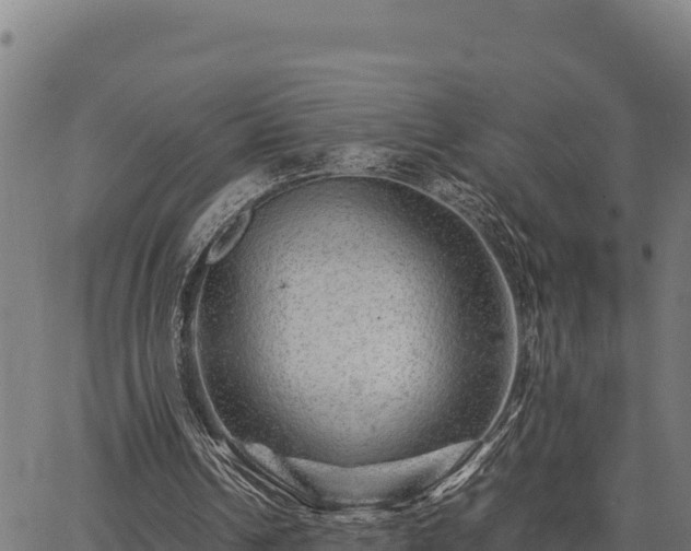 X0000067000242200603311621