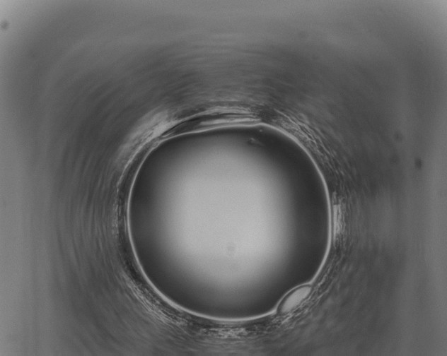 X0000067000243200603311621