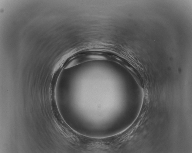 X0000067000244200603311621