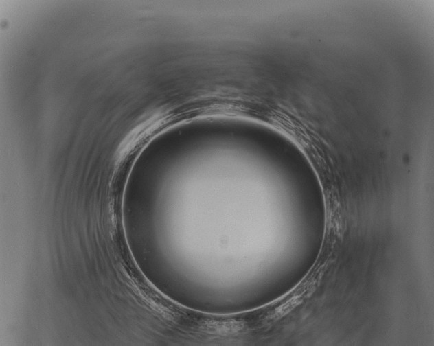 X0000067000245200603311621