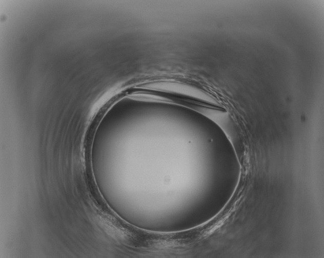 X0000067000246200603311621