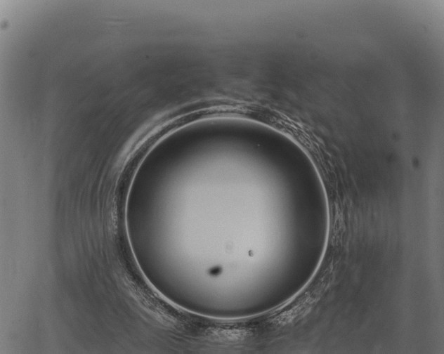 X0000067000247200603311621