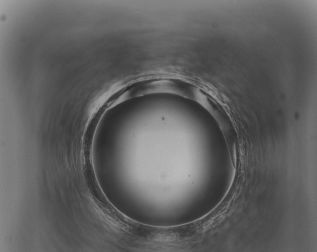 X0000067000248200603311621