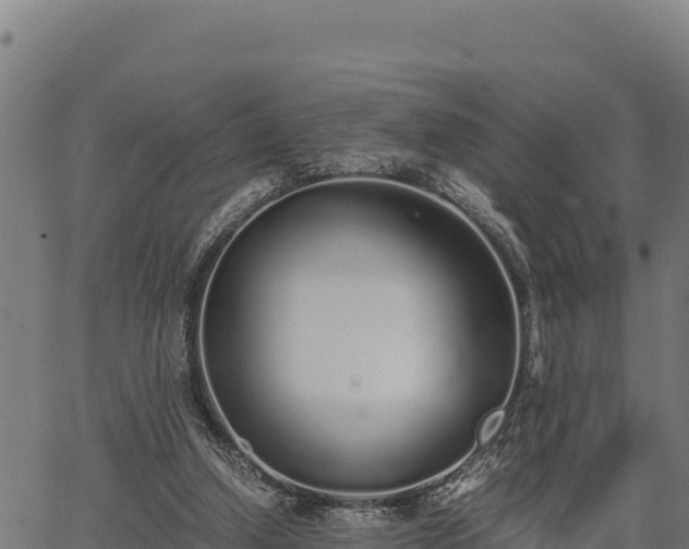 X0000067000250200603311621