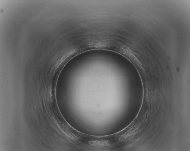 X0000067000251200603311621