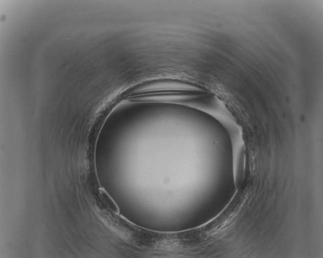 X0000067000252200603311621