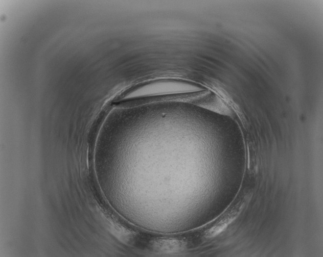 X0000067000253200603311622