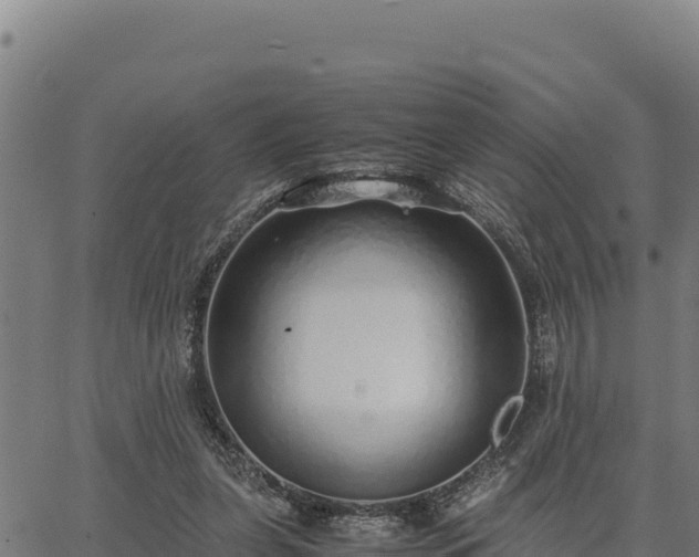 X0000067000255200603311622