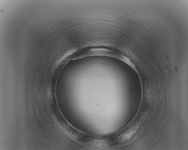 X0000067000256200603311622