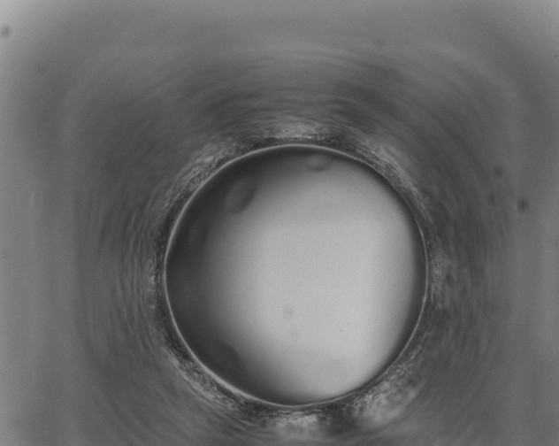 X0000067000257200603311622