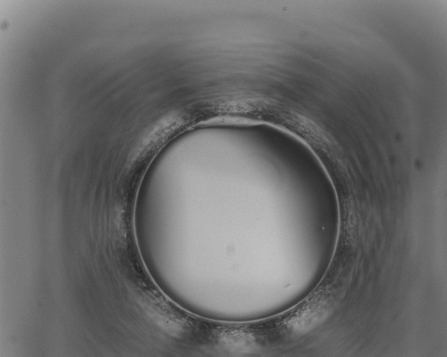 X0000067000258200603311622