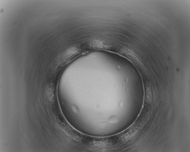 X0000067000259200603311622