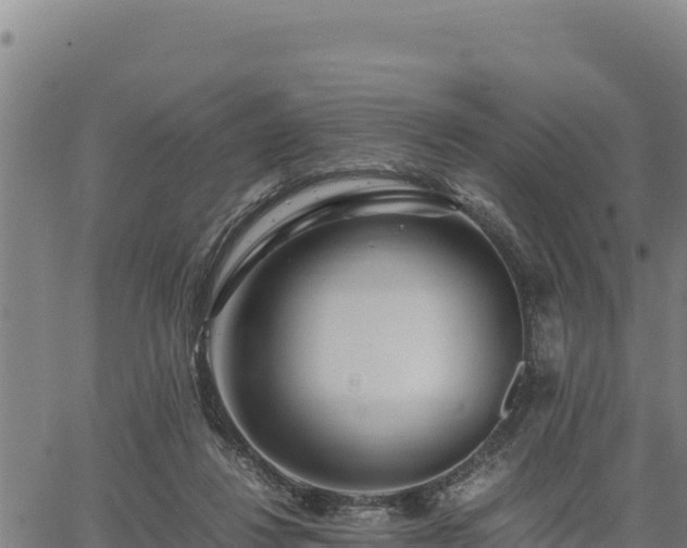 X0000067000260200603311622