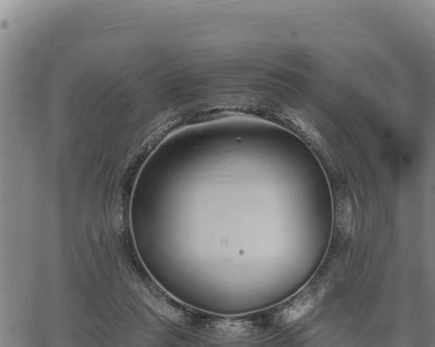 X0000067000261200603311622