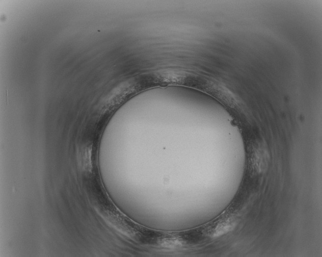 X0000067000262200603311622