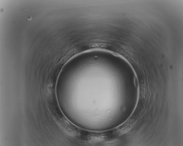 X0000067000263200603311622