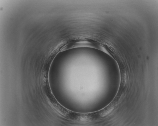 X0000067000264200603311622