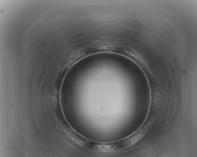 X0000067000265200603311622