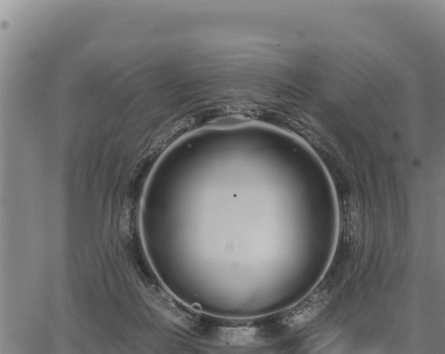 X0000067000266200603311622