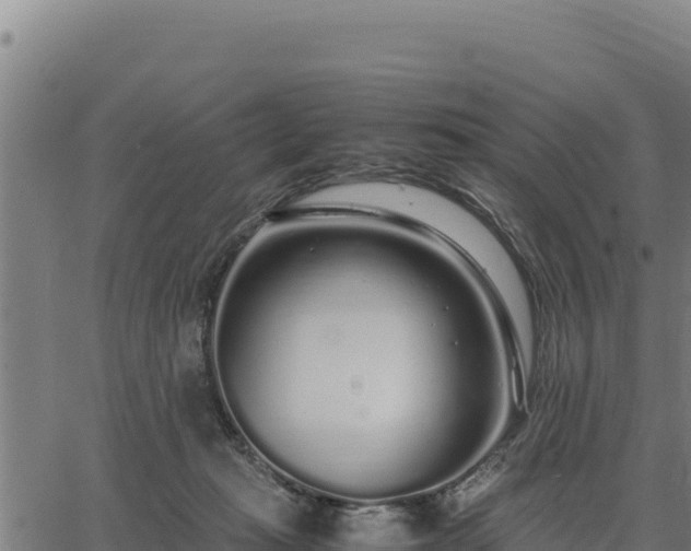 X0000067000269200603311622