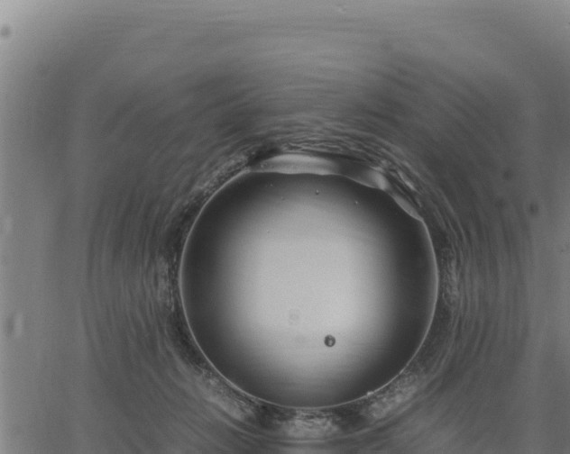 X0000067000270200603311622