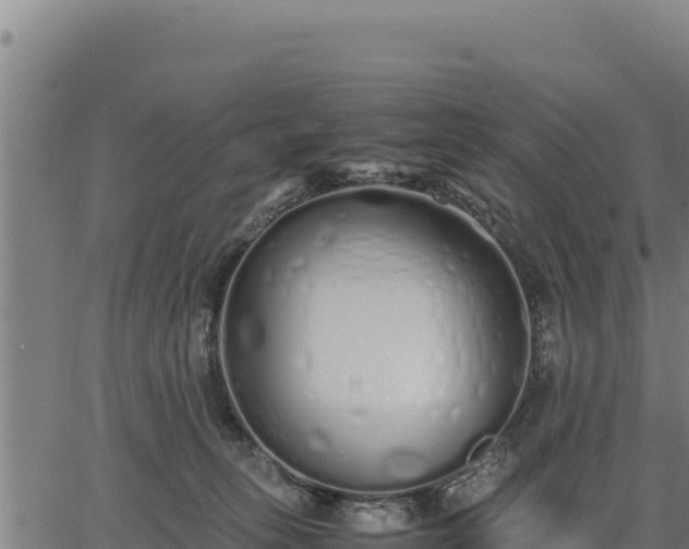 X0000067000275200603311622