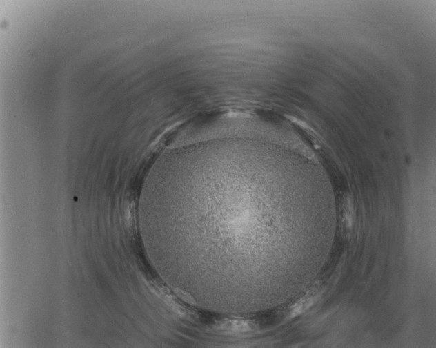 X0000067000276200603311622