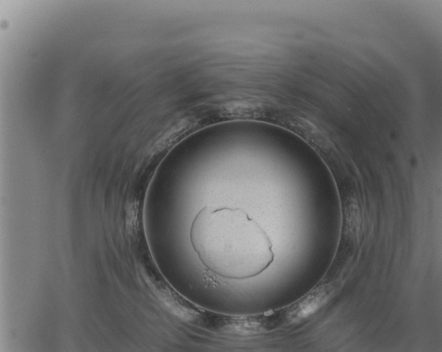 X0000067000278200603311622