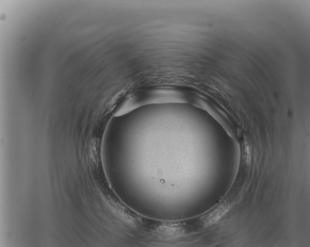 X0000067000280200603311622