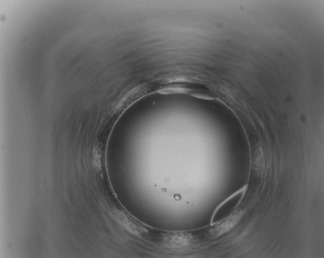 X0000067000282200603311622