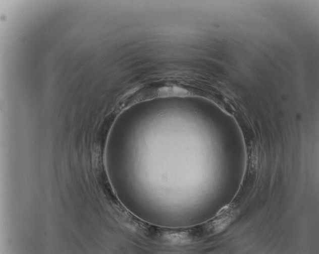 X0000067000283200603311622