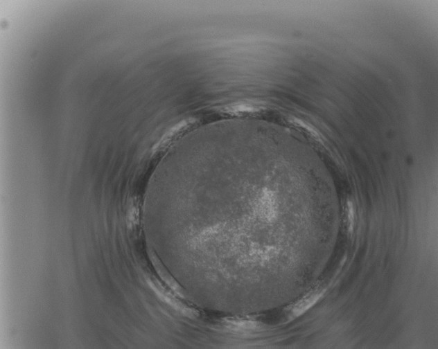 X0000067000284200603311622