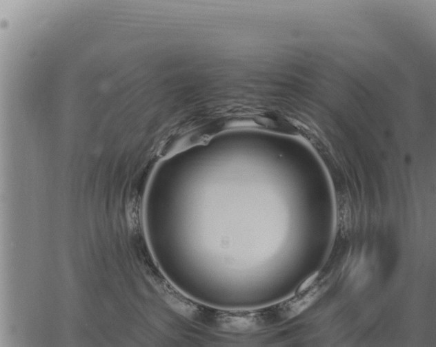 X0000067000285200603311622