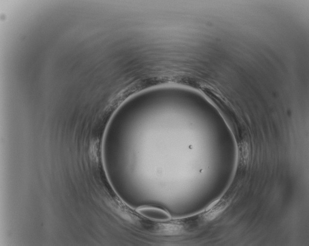 X0000067000286200603311622