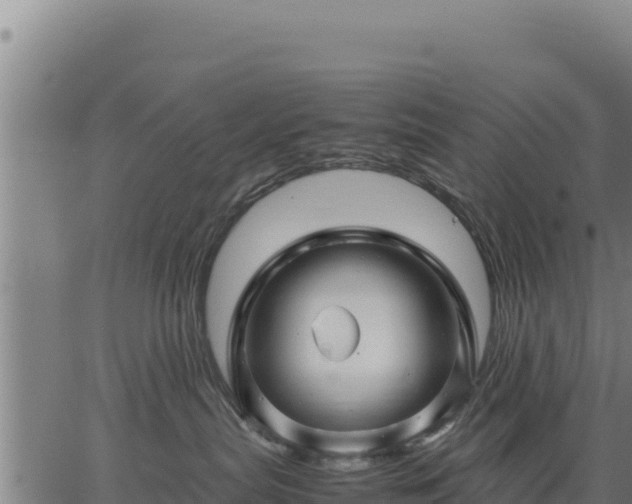 X0000067000287200603311622