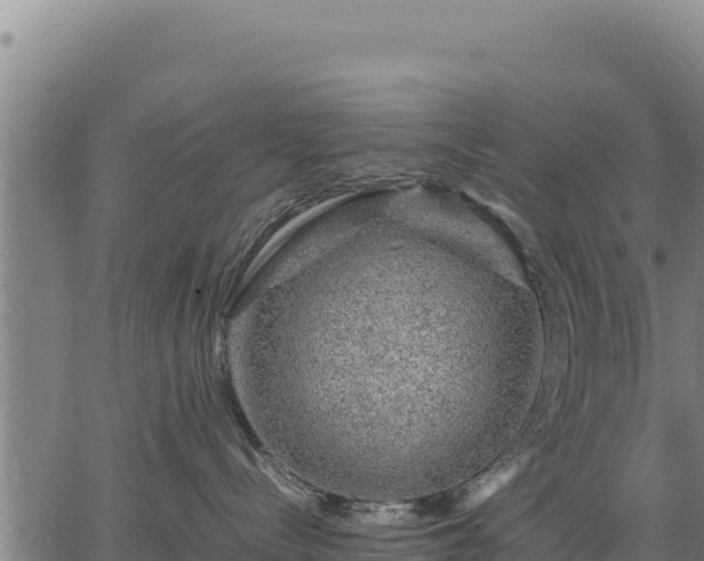 X0000067000288200603311622