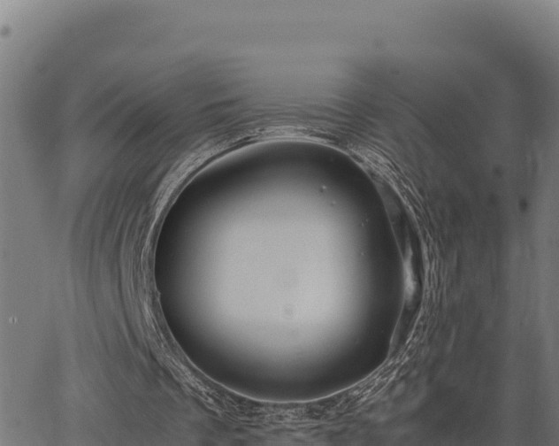 X0000067000289200603311621