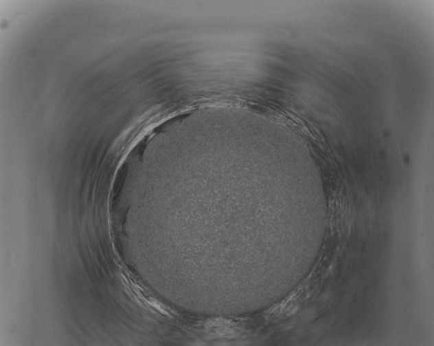 X0000067000290200603311621