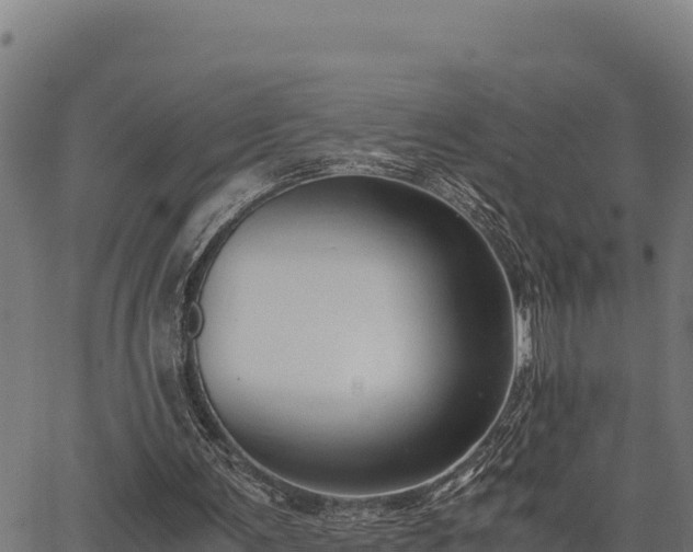 X0000067000291200603311621