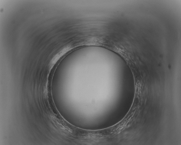 X0000067000292200603311621