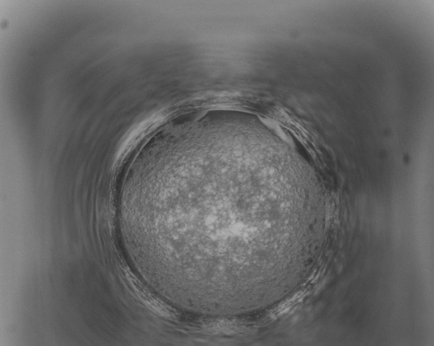 X0000067000293200603311621