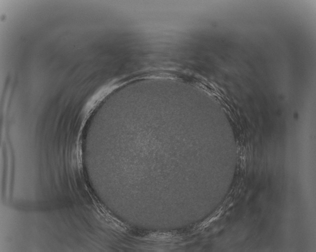 X0000067000294200603311621