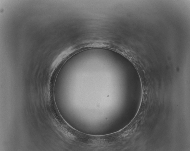 X0000067000296200603311621