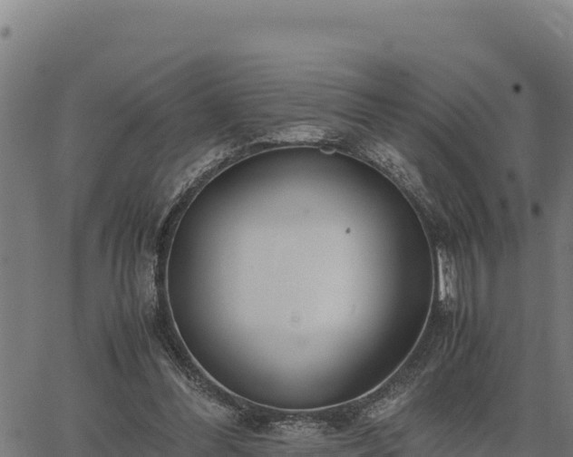 X0000067000300200603311621