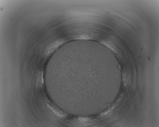 X0000067000302200603311621