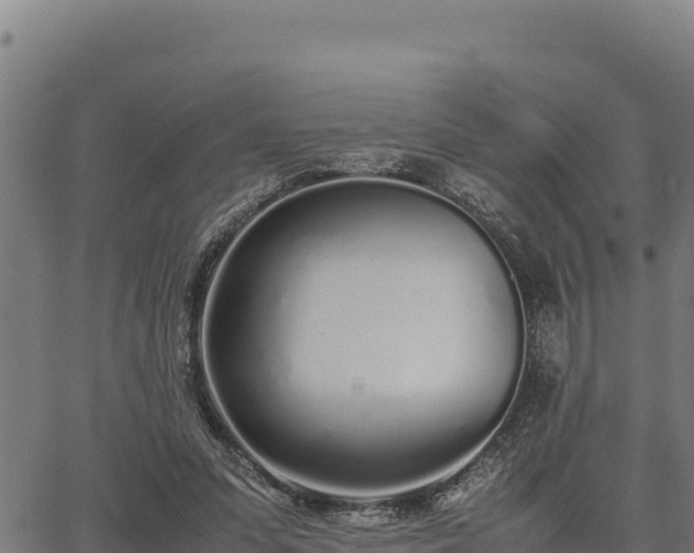 X0000067000303200603311621