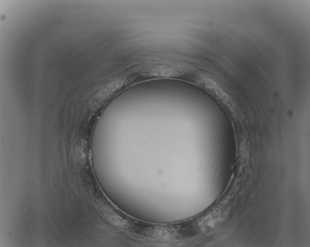 X0000067000305200603311621