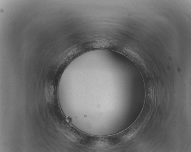 X0000067000308200603311621